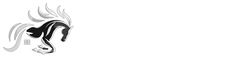 Ollin Vision